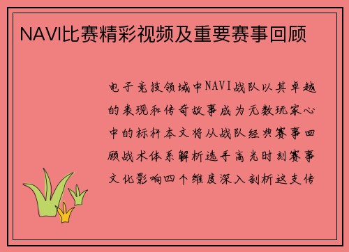 NAVI比赛精彩视频及重要赛事回顾
